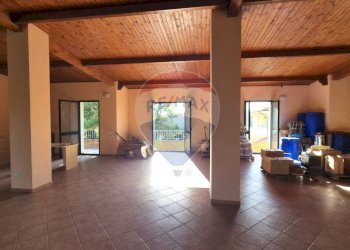 Terrazza - Independent house Simaxis - photo 18