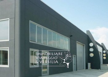 Foto 5 - Magazzino via dei metalmeccanici
 
78, Camaiore - foto 3