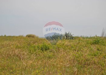 Giardino - Trilocale Vasto - foto 15