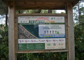 Dettagli - Trilocale Vasto - foto 22