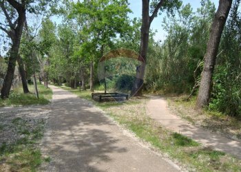 Giardino - Trilocale Vasto - foto 23