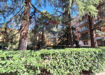 Giardino - Trilocale Via Sant'Isaia
 
6/6, Bologna - foto 30