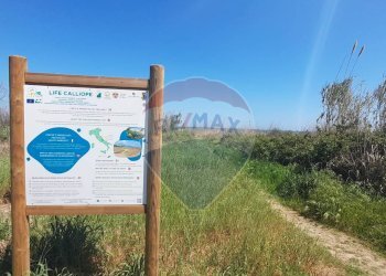 Casa all\'aperto - Bilocale Vasto - foto 13