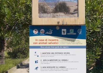 Documenti - Bilocale Vasto - foto 15