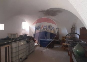 Hall / corridoio - Rustic Vasto - photo 27