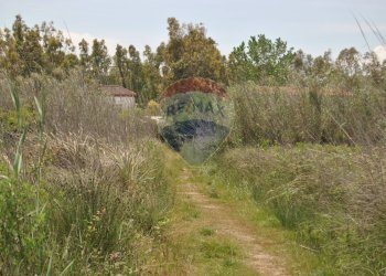 Giardino - Trilocale Vasto - foto 14