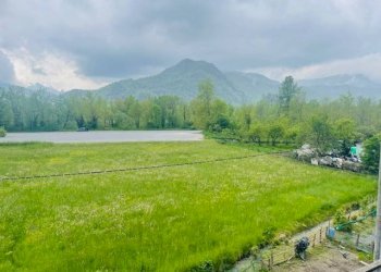 Terreno - Quadrilocale Borgo San Dalmazzo - foto 17