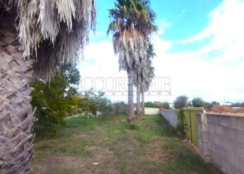 parete interna in area cintata.jpg - Villa Via Passo del Lupo 4, Matino - foto 13