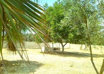 pozzo sorgivo in area cintata b.jpg - Villa Via Passo del Lupo 4, Matino - foto 14