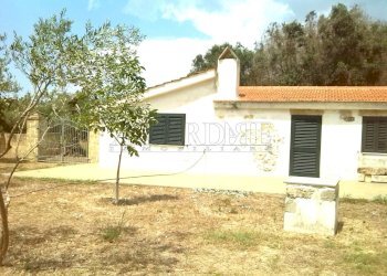 vista esterna c.jpg - Villa Via Passo del Lupo 4, Matino - foto 17