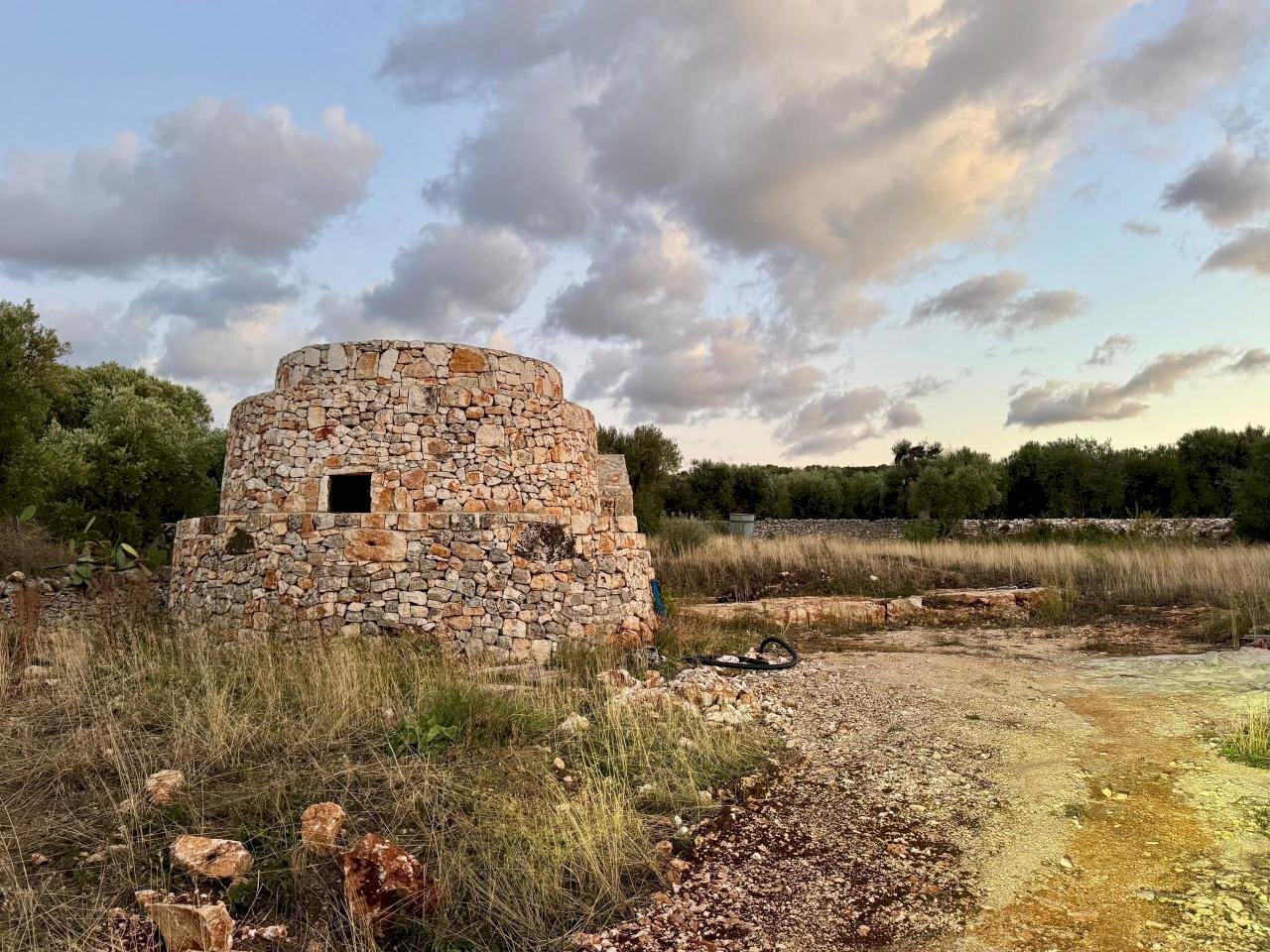 WhatsApp Image 2025-10-06 at 18.55.48 (2).jpeg - Independent house Contrada candelora, Ostuni - photo 2