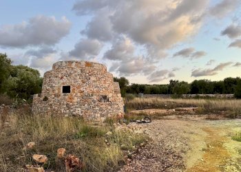 WhatsApp Image 2025-10-06 at 18.55.48 (2).jpeg - Casa indipendente Contrada candelora, Ostuni - foto 2