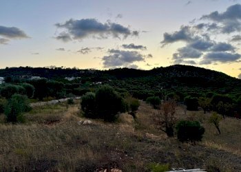 WhatsApp Image 2025-10-06 at 18.57.40.jpeg - Casa indipendente Contrada candelora, Ostuni - foto 11