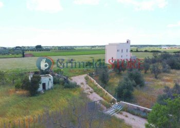 10_risultato.jpg - Casale Strada Provinciale 112, Nardò - foto 8