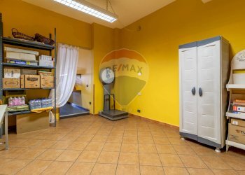 Shop Via Cottolengo, 14
Biella, Biella - photo 14