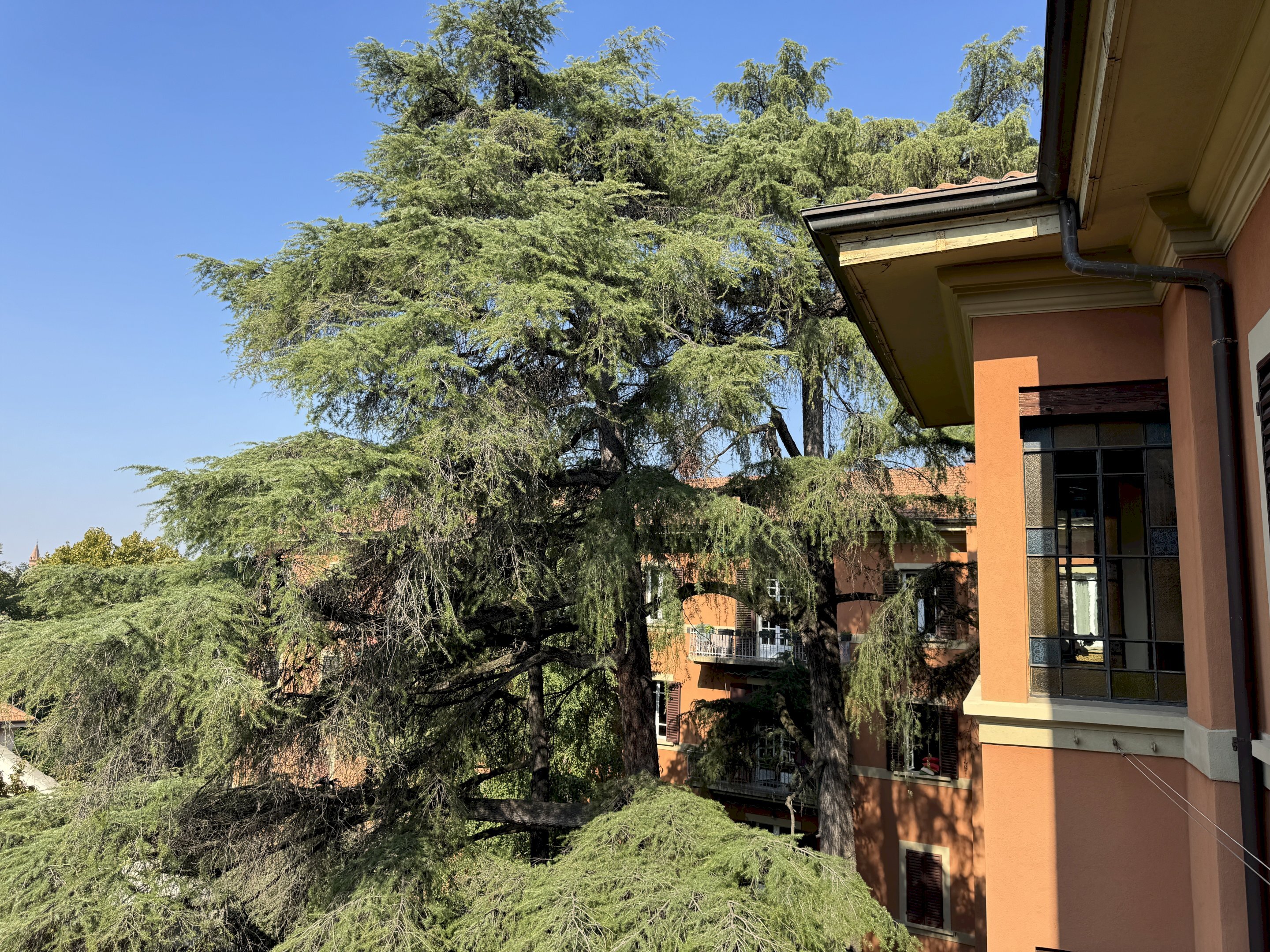 Appartamento Bologna (zona Castiglione) - foto 3