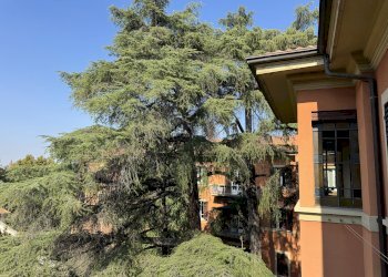 Appartamento Bologna (zona Castiglione) - foto 3