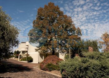 Foto 35 - Casa indipendente Contrada Villa Camera, Campli - foto 35