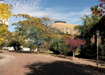 Foto 37 - Casa indipendente Contrada Villa Camera, Campli - foto 37