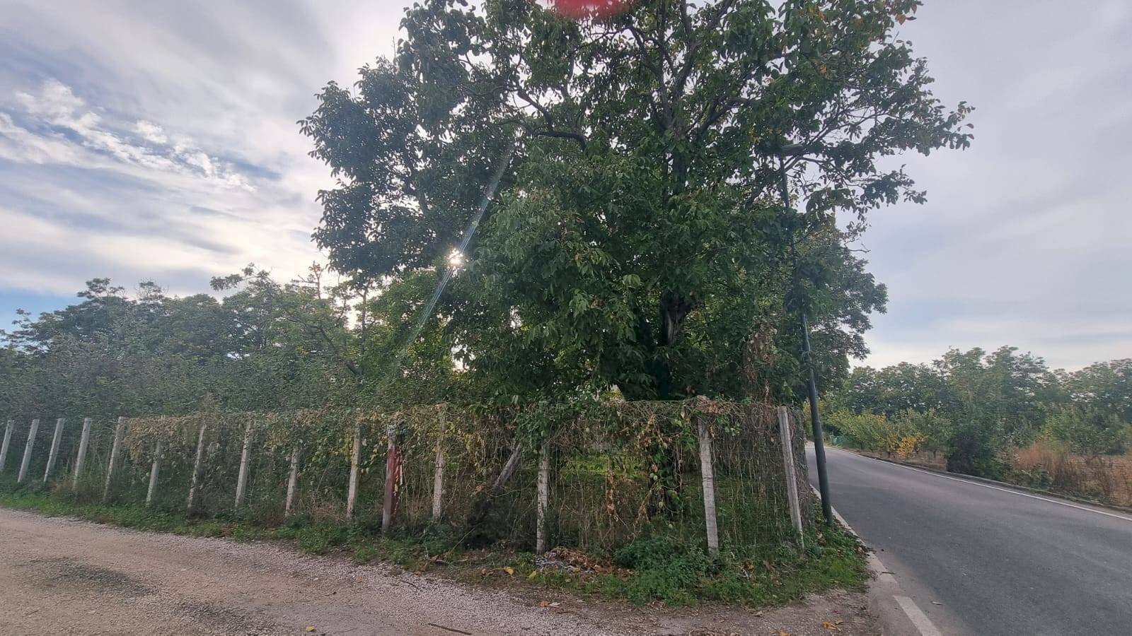 Foto 1 - Monolocale Brusciano - foto 1