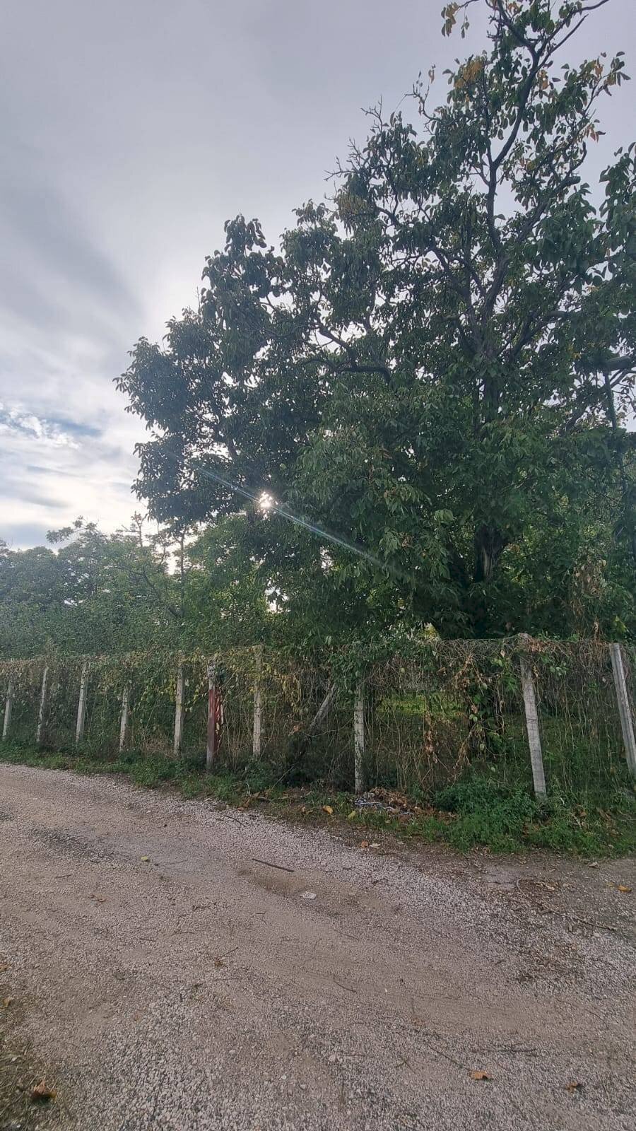 Foto 2 - Monolocale Brusciano - foto 2