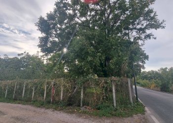 Foto 1 - Monolocale Brusciano - foto 1