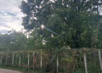 Foto 2 - Monolocale Brusciano - foto 2