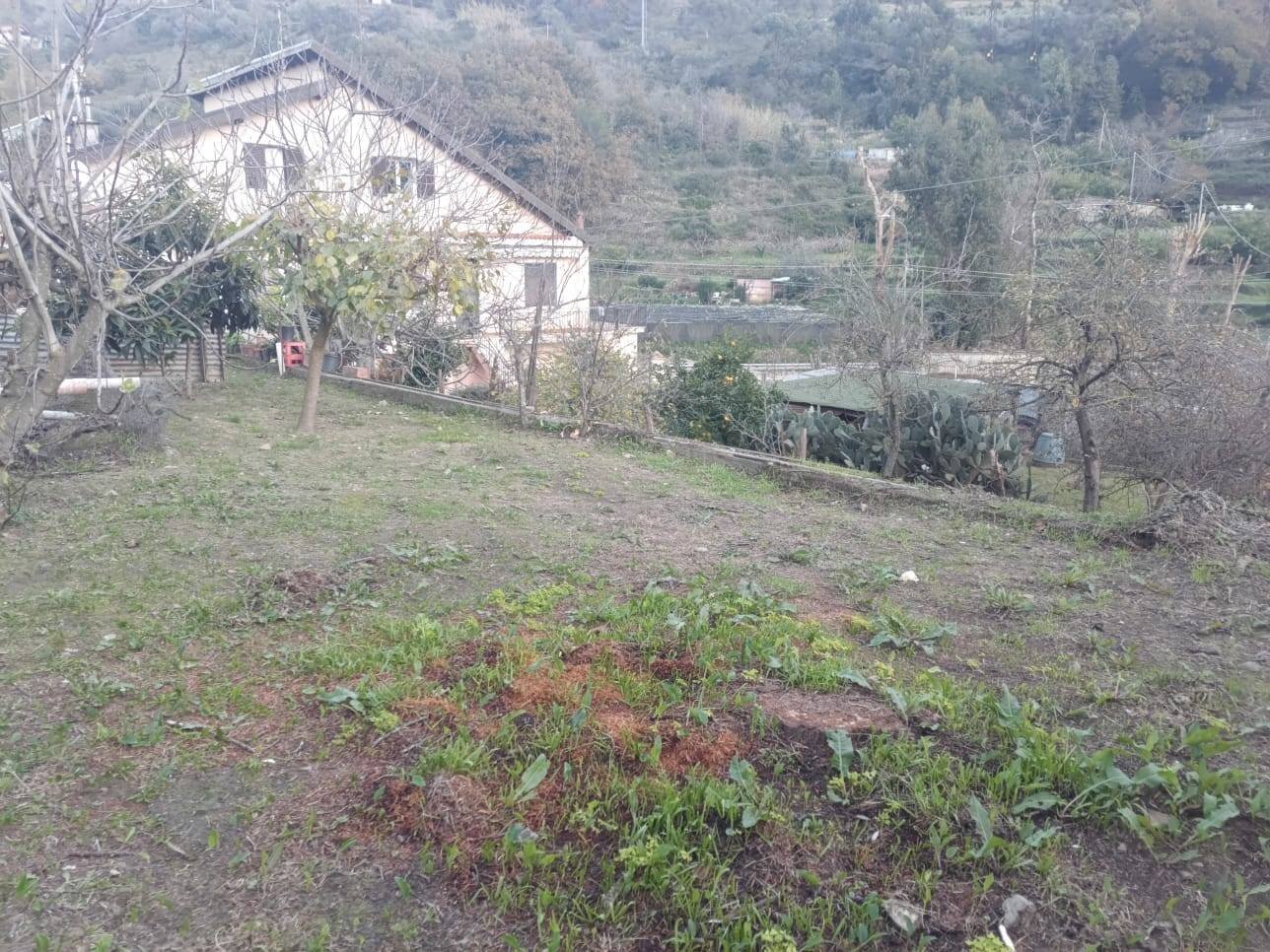 Foto 1 - Casa indipendente Strada Provinciale, Vallecrosia - foto 1