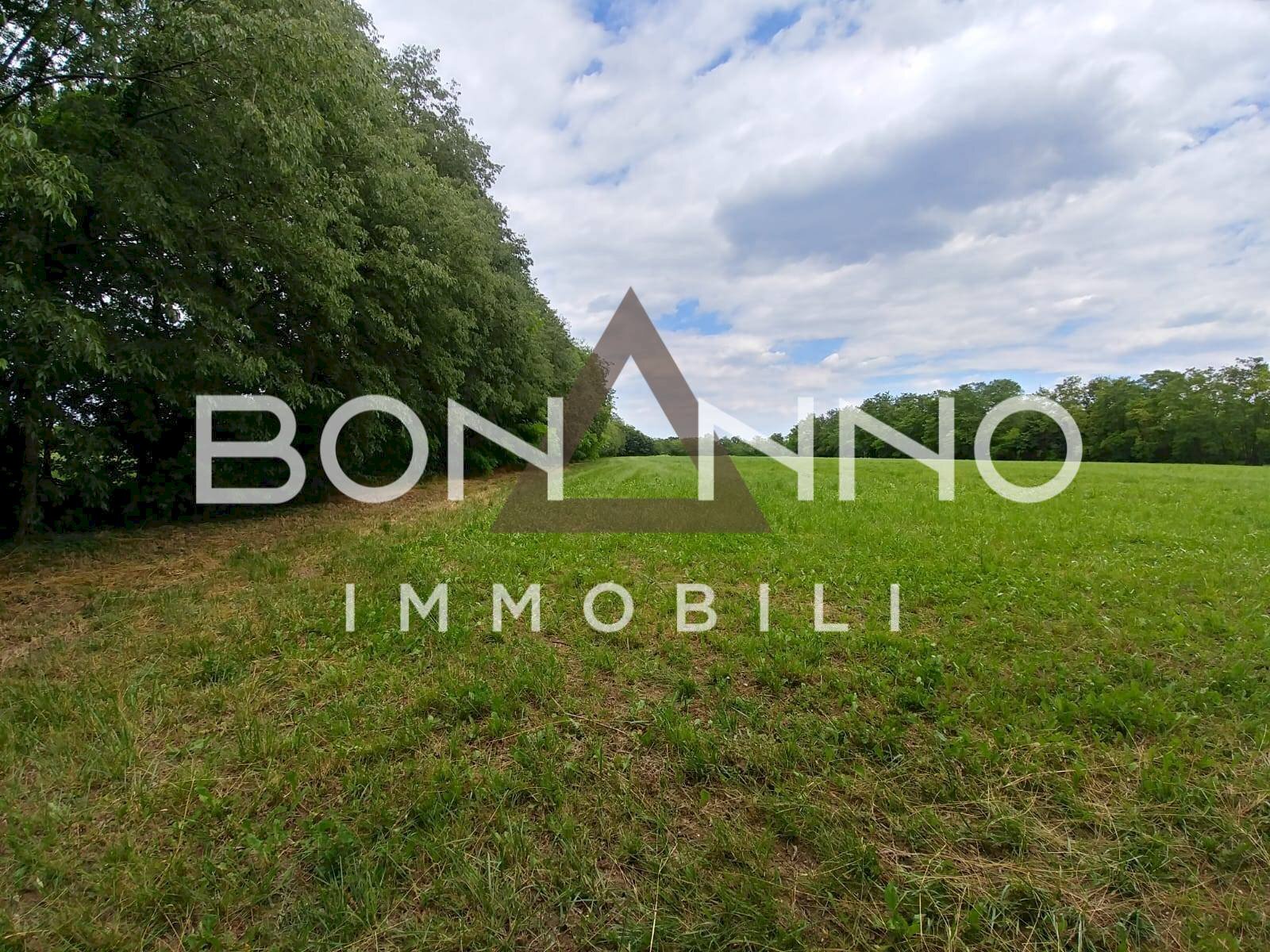 Foto 3 - Terreno agricolo Via Prati del sale, Riese Pio X - foto 3