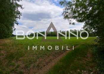 Foto 4 - Terreno agricolo Via Prati del sale, Riese Pio X - foto 4