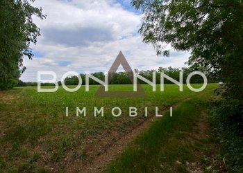 Foto 7 - Terreno agricolo Via Prati del sale, Riese Pio X - foto 7