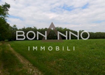 Foto 8 - Terreno agricolo Via Prati del sale, Riese Pio X - foto 8