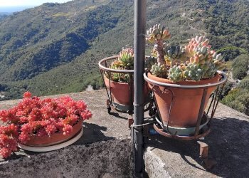 Foto 20 - Quadrilocale via cassano
 
6, Perinaldo - foto 20