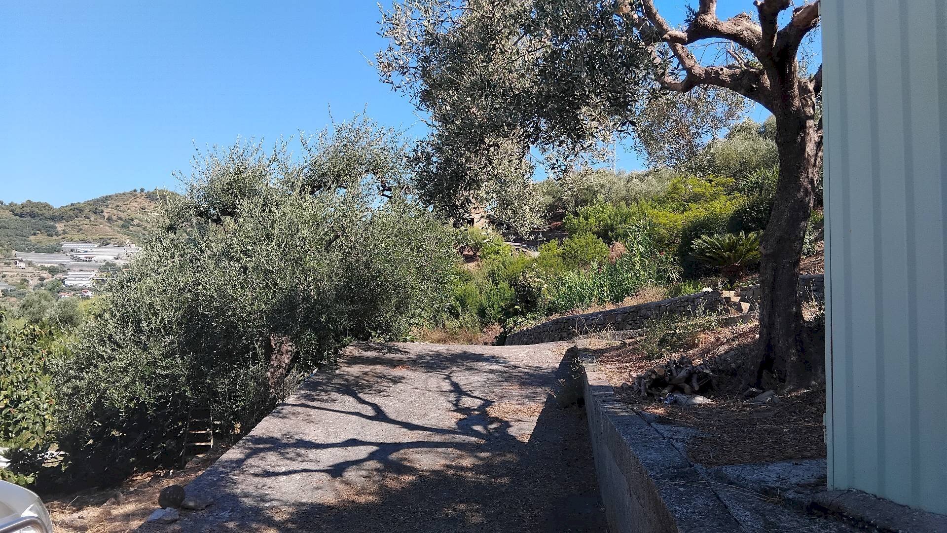 Foto 2 - Terreno agricolo san sinforiano
 
snc, San Biagio della Cima - foto 2