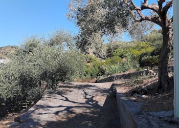 Foto 2 - Terreno agricolo san sinforiano
 
snc, San Biagio della Cima - foto 2