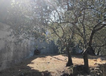 Foto 3 - Terreno agricolo san sinforiano
 
snc, San Biagio della Cima - foto 3