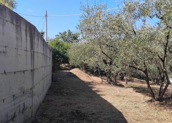 Foto 7 - Terreno agricolo san sinforiano
 
snc, San Biagio della Cima - foto 7