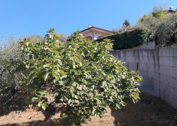 Foto 8 - Terreno agricolo san sinforiano
 
snc, San Biagio della Cima - foto 8