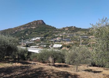 Foto 14 - Terreno agricolo san sinforiano
 
snc, San Biagio della Cima - foto 14