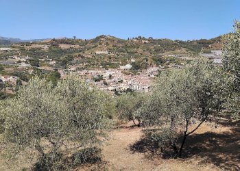 Foto 17 - Terreno agricolo san sinforiano
 
snc, San Biagio della Cima - foto 17
