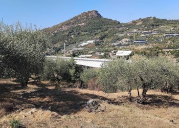 Foto 18 - Terreno agricolo san sinforiano
 
snc, San Biagio della Cima - foto 18