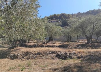 Foto 21 - Terreno agricolo san sinforiano
 
snc, San Biagio della Cima - foto 21