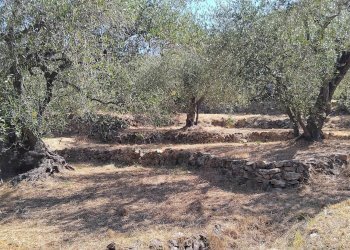 Foto 32 - Terreno agricolo san sinforiano
 
snc, San Biagio della Cima - foto 32