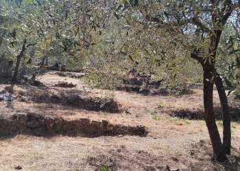 Foto 33 - Terreno agricolo san sinforiano
 
snc, San Biagio della Cima - foto 33