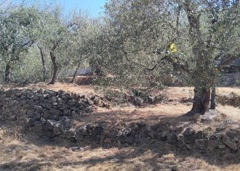 Foto 34 - Terreno agricolo san sinforiano
 
snc, San Biagio della Cima - foto 34