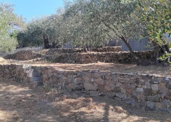 Foto 38 - Terreno agricolo san sinforiano
 
snc, San Biagio della Cima - foto 38