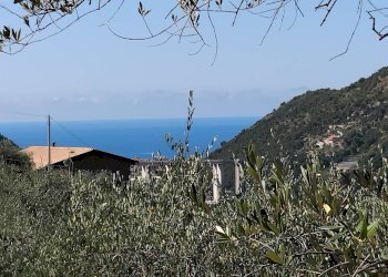 Foto 41 - Terreno agricolo san sinforiano
 
snc, San Biagio della Cima - foto 41