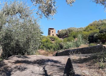 Foto 44 - Terreno agricolo san sinforiano
 
snc, San Biagio della Cima - foto 44