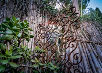 Dettagli - Appartamento VIA CANGIALOSI
 
125, Carini - foto 18