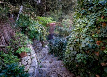 Giardino - Appartamento VIA CANGIALOSI
 
125, Carini - foto 44